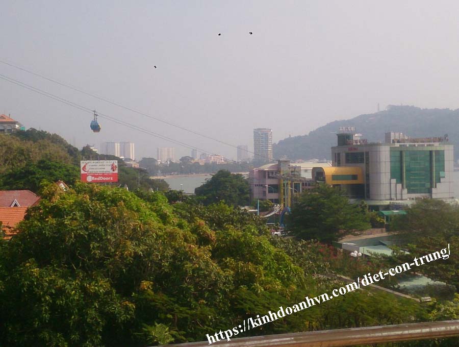 diet-moi-145-vung-tau