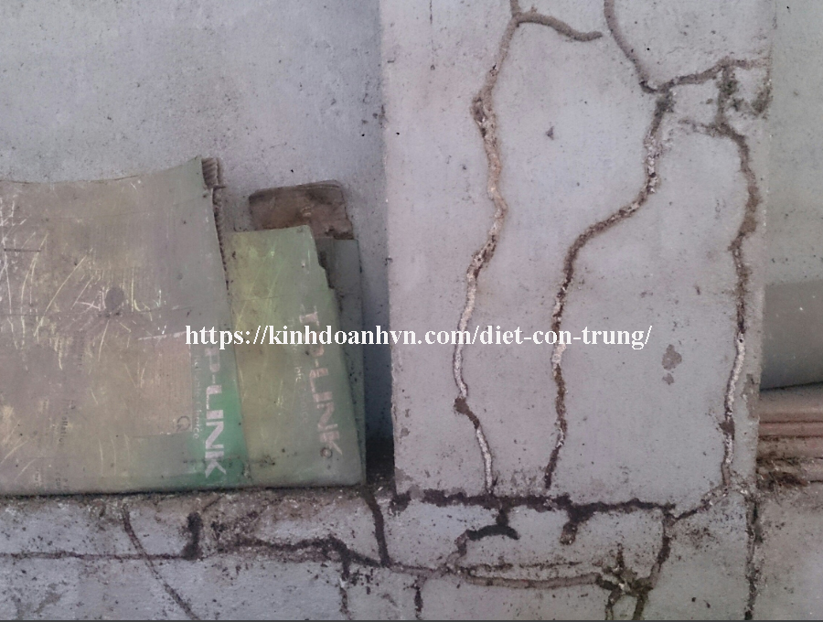 diet-moi-127-go-kho-chan-tuong