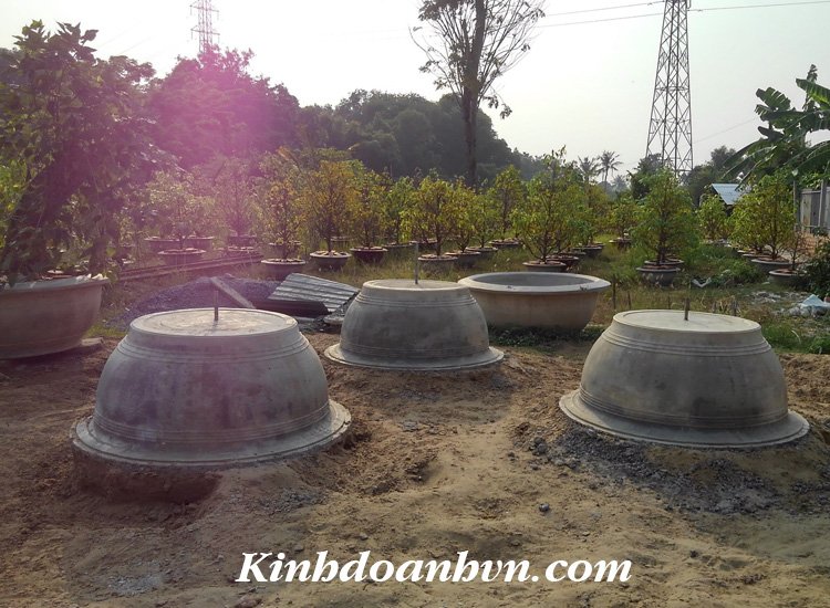 Dịch vụ chuyên nghiệp-KinhdoanhVN.com