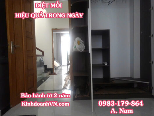 Cách diệt mối ở tủ gỗ
