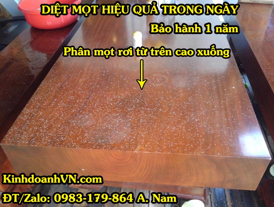 Mọt Ăn Gỗ, Cách Nhận Biết Để Ngăn Chặn Kịp Thời Phân mọt 1