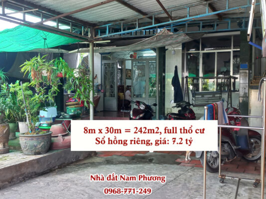 CS Nguyen Thi Chon mt NB3158 12