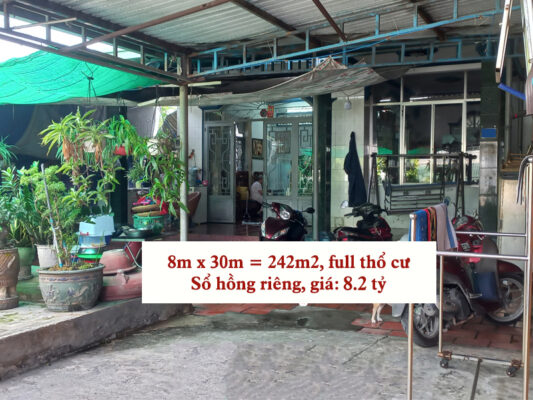 CS Nguyen Thi Chon mt NB3158 05