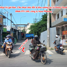 CS-Nguyễn Thị Ngâu mt 01